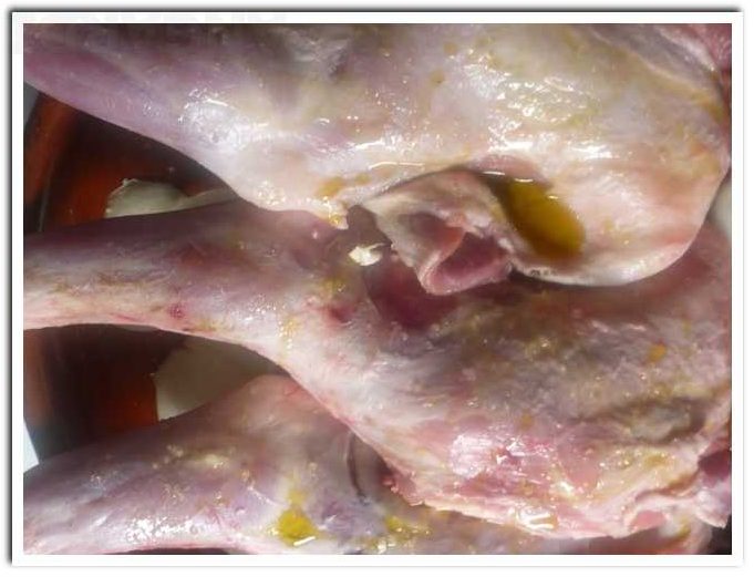 cordero asado